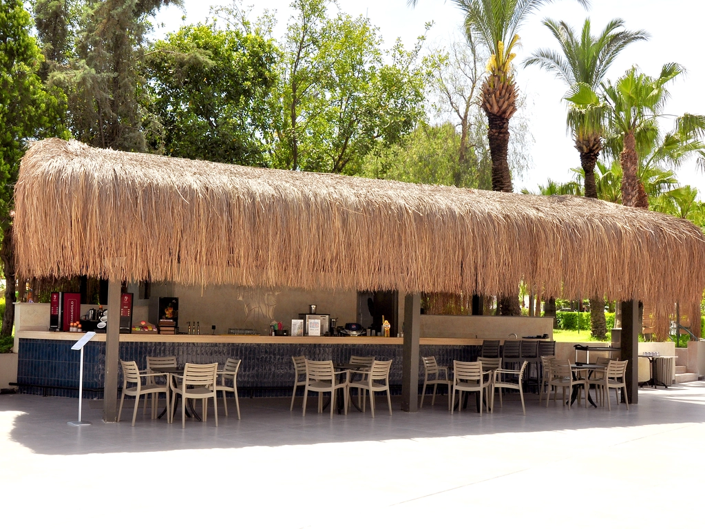 bar image